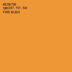 #ED9736 - Fire Bush Color Image